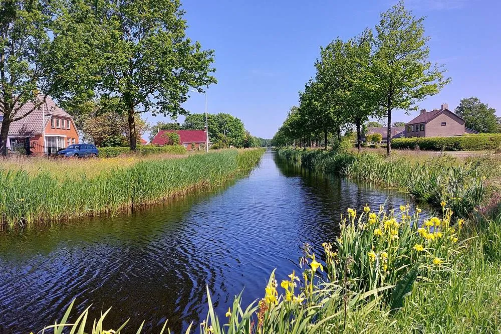 Frieschepalen: 2023 Fryske Peallen, Fryskepeallenfeart